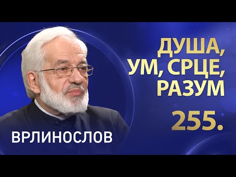 Душа, ум, срце, разум, отац Милош Весин | Врлинослов