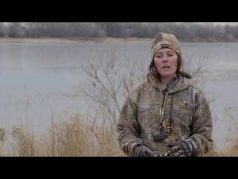 Gun Dog Training: Multiple Marks