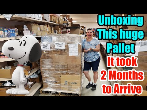 Unboxing this Huge Pallet and we found Snoopy & Paris. This was a Fun Pallet to unbox!