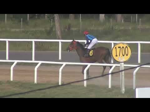 22/12/2021 – Hipodromo Melo – Carr 5 – ESPECIAL: TERCERA GEMA - TRIPLE CORONA - Sr. MAR...