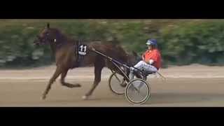 Buddenbrock Rennen Stuten 2015_Global Fun_Heinz Wewering