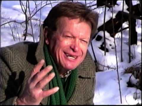 "No - Dragivoje Sreckovic" (2007) Film