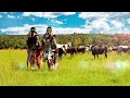 Inkabi Zezwe Ft Sjava Big Zulu Khaya Lami Visualizer