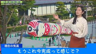 京都のこけし花子 京都ライブカメラを通じてウェザーニュースに出演【ウェザーニュース切り抜き】