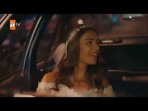 არავინ იცის 12 სერია ქართულად