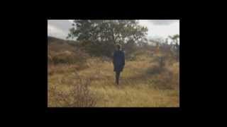 The National Runaway