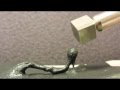 Magnetic Putty - Snake Charmer 
