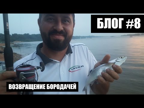 Рыбалка не задалась, Волга, чехонь, жара, Леха вернулся :блог #8