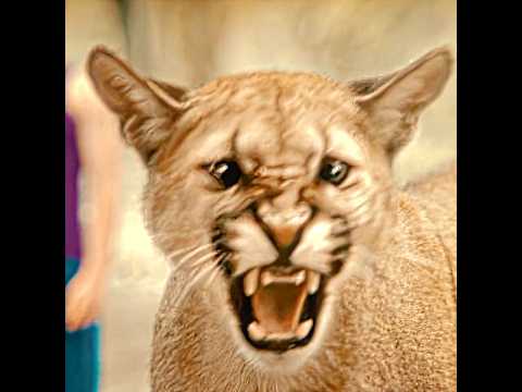 Here, every kid can turn into an animal! 🐾✨ | Woodwalkers (2024) #edit