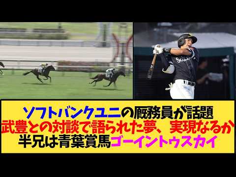 【ソフトバンク】柳田悠岐選手所有のゴーイントゥノヴァが新馬勝ち!