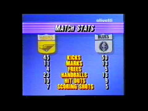 Quarter Time 1987 Round 14 VFL - Carlton vs Hawthorn at Waverley Park