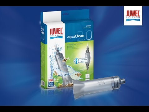 Watch Video on YouTube