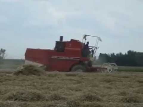 Decrock: Maaidorsen.