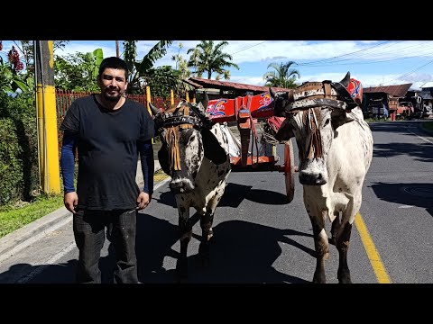 San José Costa Rica 🇨🇷 escazú Gabriel pura vida 🇨🇷 trabajando recogiendo chatarra ♻️🚚♻️