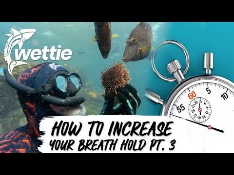 Wettie TV – Steigerung von Atemanhaltzeit und Tiefe beim Speerfischen Teil 3 (20–30 Meter)