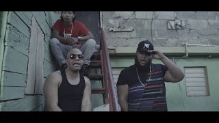 Video Panda de Noztra