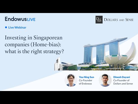 Understanding home-bias from a Singaporean investor - with Dollars and Sense