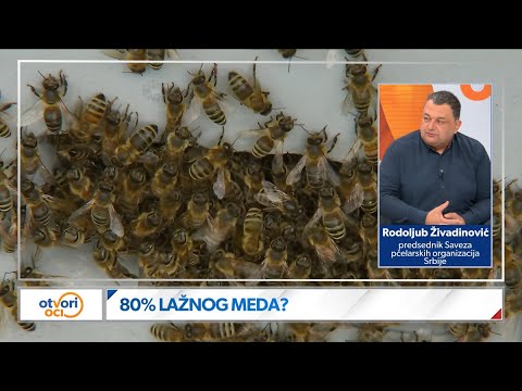 Falsifikovani med ruši pčelarstvo: Ko profitira, a ko nestaje sa tržišta?
