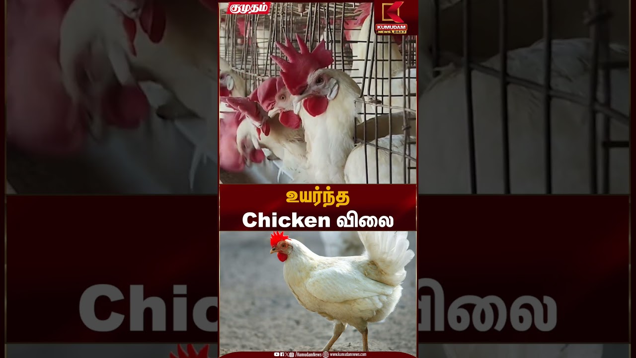 உயர்ந்த Chicken விலை | Chicken Rate | Price Hike | Kumudam News