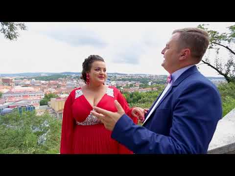 Daniel Utiu - Ca intr-un vis