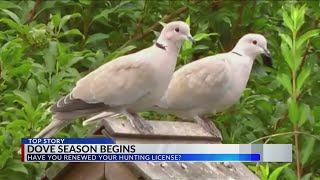 Dove season is here! is your hunting license valid?