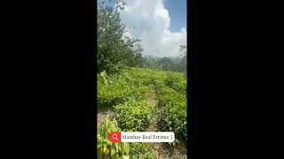  Residential Plot for Sale in Coonoor, Nilgiris
