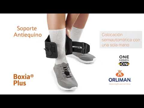 Soporte Antiequino Boxia Plus Orliman