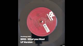 DMX - What you Want (LP Version)