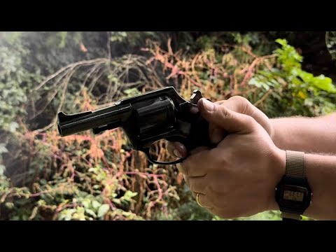 BENJAMIN BULLDOG .457 - more POWER, more BARK!