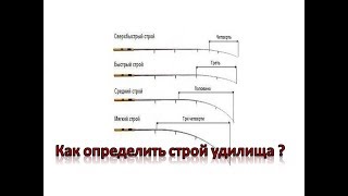 Средне быстрый строй спиннинга для джига