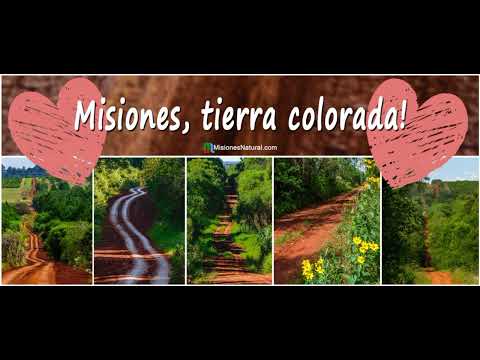 (los bohemios de garupa)  temas espectacularessss