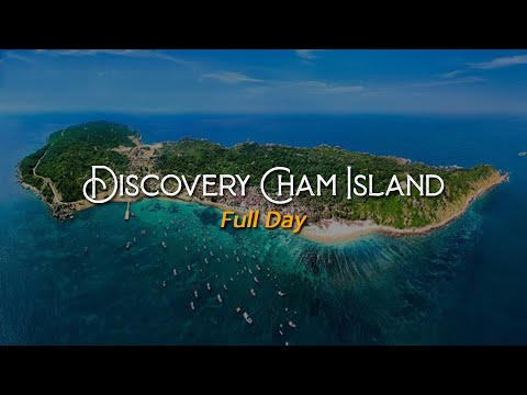 Discovery Cham Island Tour 1 Day From Da Nang & Hoi An - Group Tour