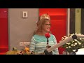 Zorgboerderijen Lelystad samen  maar toch niet helemaal
