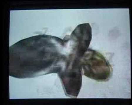 We are going to KILJU