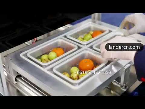Tabletop tray sealer machine MAP220 - Food Packaging & Processing Solutions Provider from China