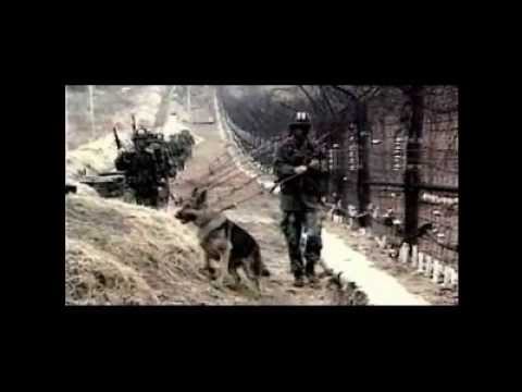 PERSECUTIA CRESTINILOR: Korea; China :India!