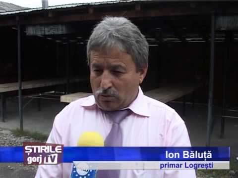 targul de la logresti vechi de 200 de ani