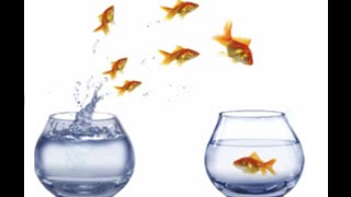 Inbound Marketing Agency in Dayton Ohio