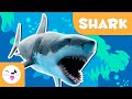 Shark 🦈 Animals for Kids 🌊 Episode 8