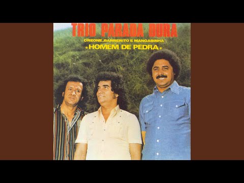 O Rei da Engenharia - Trio Parada Dura