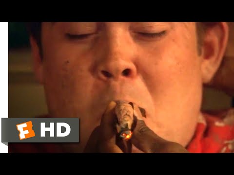ハウ・ハイ (2001) - 指一本吸えないシーン (9/10) ｜Movieclips (How High (2001) - I Can't Smoke a Finger Scene (9/10) | Movieclips)