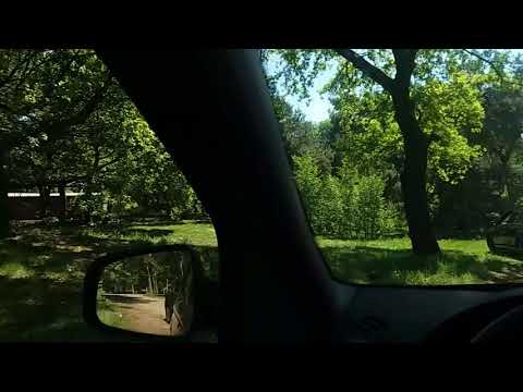 Turyści wychodzą z auta i...