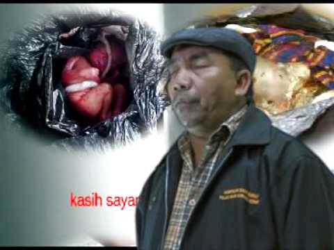 AR RASY TOHOK ANOK OLEH JEN ENDORO