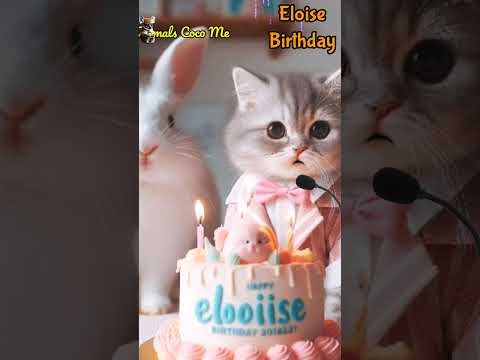 ELOISE HAPPY BIRTHDAY | HAPPY BIRTHDAY SONG WITH NAMES | Adorable Cute Cat 😺  #happybirthday #cat