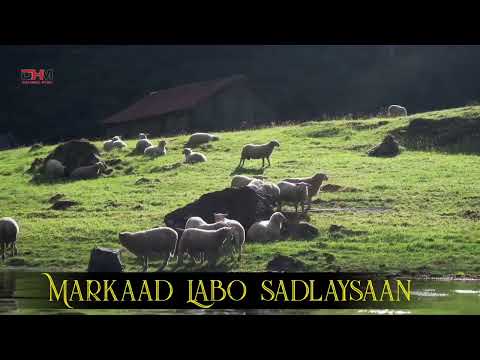 Cumar Dhuule Heestii - isa Seeg - Hees Qaraami Xul ah With Lyrics