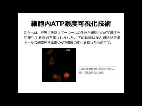 【山口大学OC2025／農学部／生物機能科学科】1 分析細胞生化学研究分野