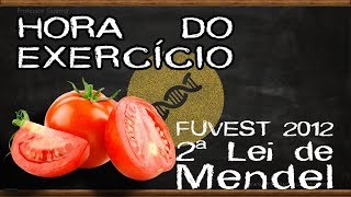 Um Agricultor Interessado Em Obter Frutos