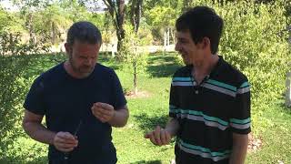 Miniatura do vídeo