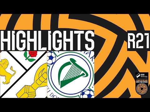bg-highlight