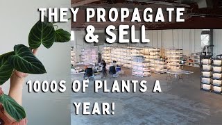 Behind the Scenes of a HUGE Houseplant Shop! |  Botanicaz Tour plant shopping 2022